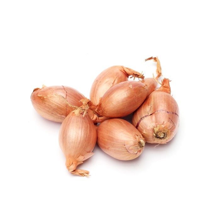 Onion Shallots