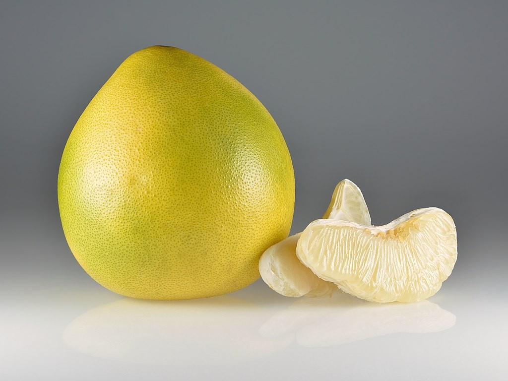 Grapefruit Pomelo