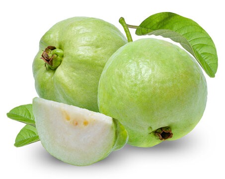 Guava