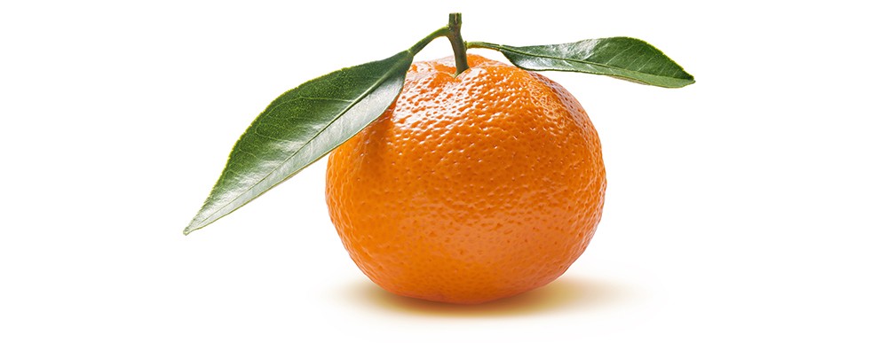 Mandarin Clementine