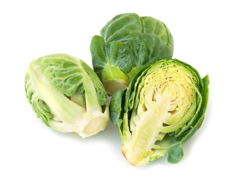 Cabbage Brussels Sprouts