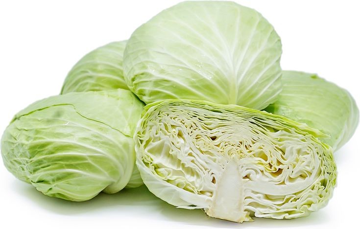 Cabbage Taiwan