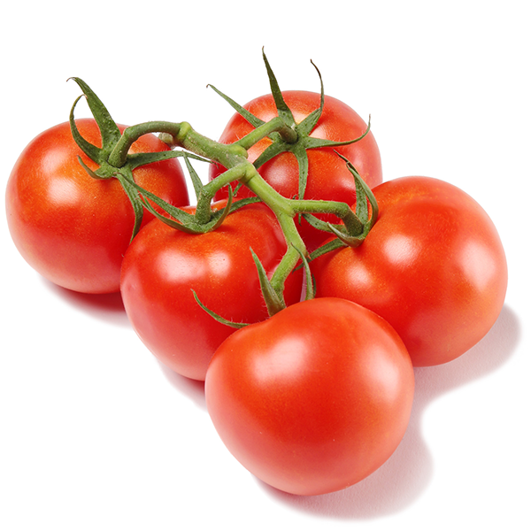 Tomato