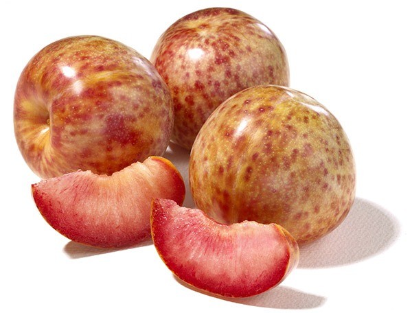 Plum Pluot