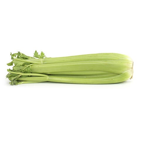 Celery Stalk