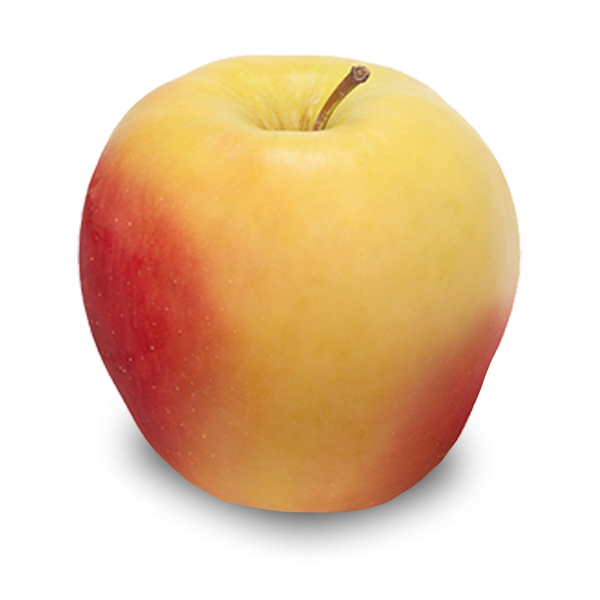 Apple Ambrosia