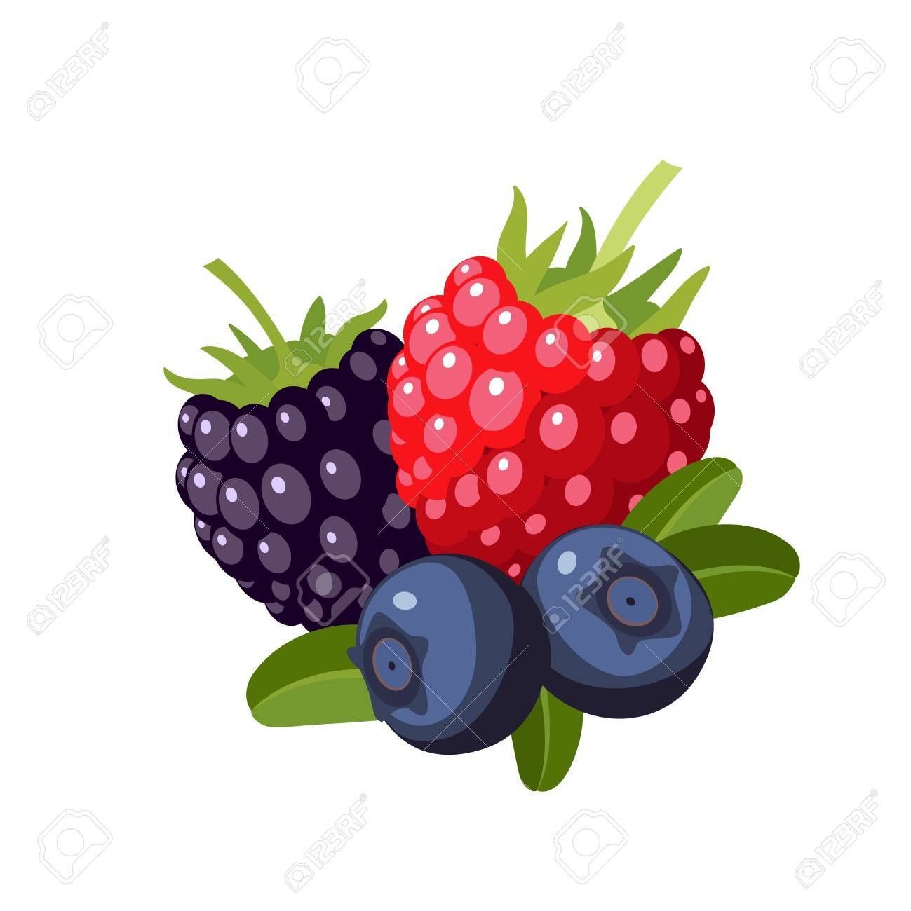 Berries Cherries