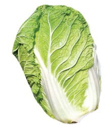 Cabbage Sui Choy