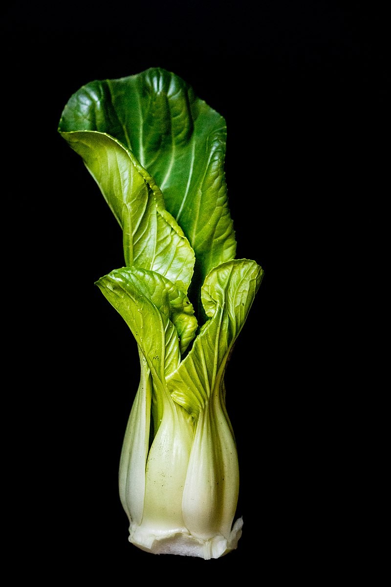 Bok Choy Green