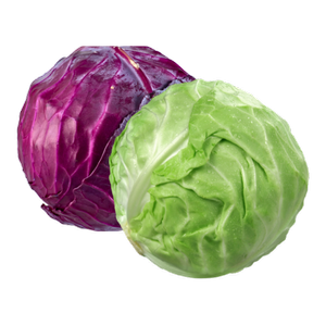 Cabbage