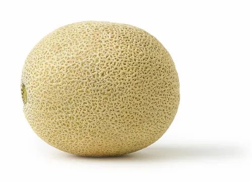 Melon Cantaloupe