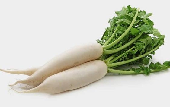 Lo Bak / Daikon