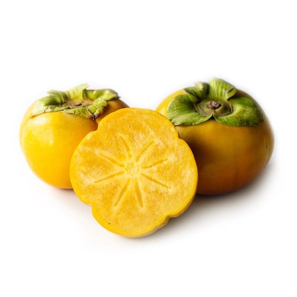 Persimmon Fuyu